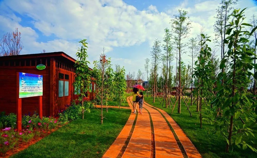 昆明適合徒步的12條線路：線路二昆明環湖東路，一條既美又長的跑道