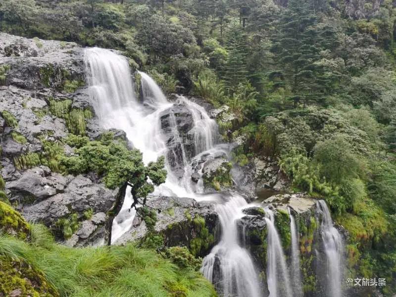 去不了遠(yuǎn)方，快來離春城最近的轎子雪山玩耍！吃住游玩樣樣齊！