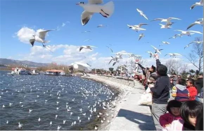 有山、有海、有古鎮....昆明這些秀麗風景邀你來打卡！