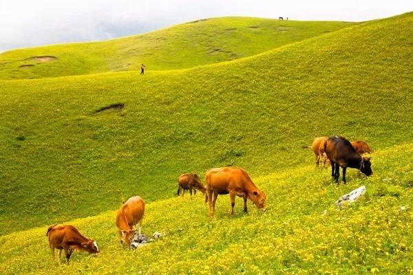 這里藏有三峽風(fēng)光、草原景致，卻少有人知道！昆明出發(fā)1小時就能到！
