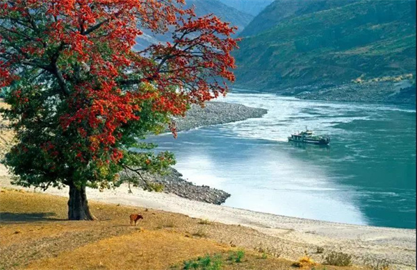 ?12月楚雄最美旅行地，來(lái)一場(chǎng)年末的收官之旅！