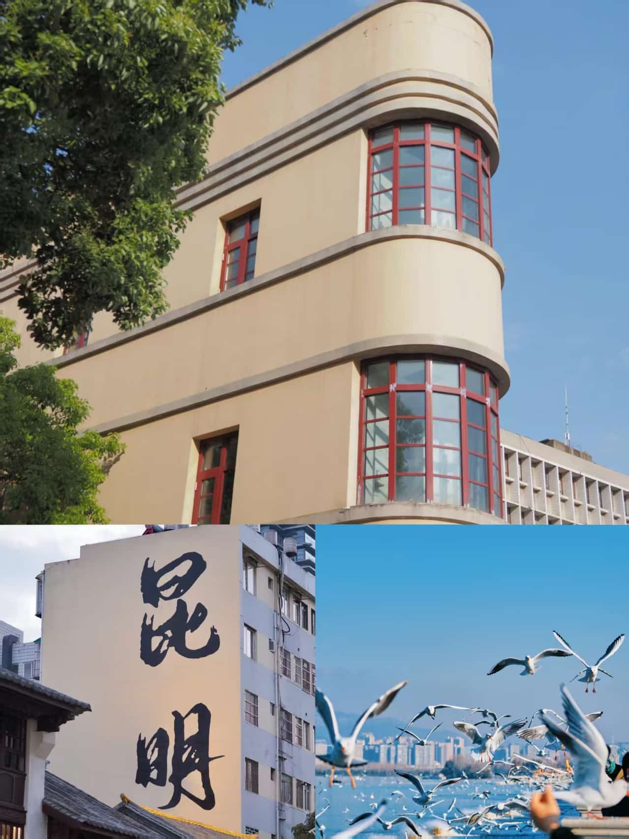 云南團建公司,云南策劃公司,昆明旅游,昆明旅行社,昆明團建公司,昆明會議會展：昆明24小時，在鮮花與海鷗間，邂逅一場春城的浪漫漫游