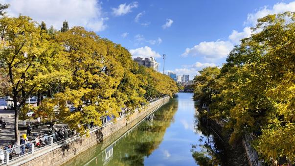 云南旅游,云南旅行社,云南團(tuán)建公司,云南策劃公司,云南會議會展,昆明旅游,昆明旅行社,昆明團(tuán)建公司,昆明策劃公司,昆明會議會展：全屏“封神”！這可是昆明初冬的超絕頂流！保姆級攻略來襲，趁天晴立馬沖！